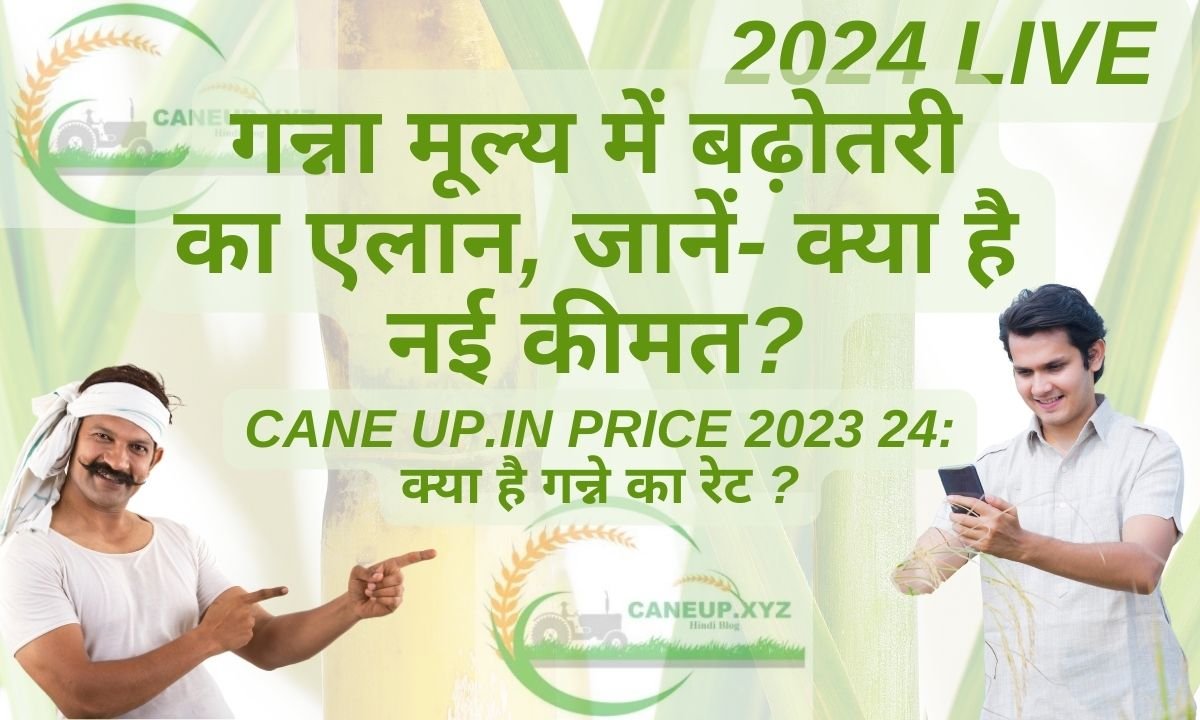 cane up.in Price 2023 24 क्या है गन्ने का रेट